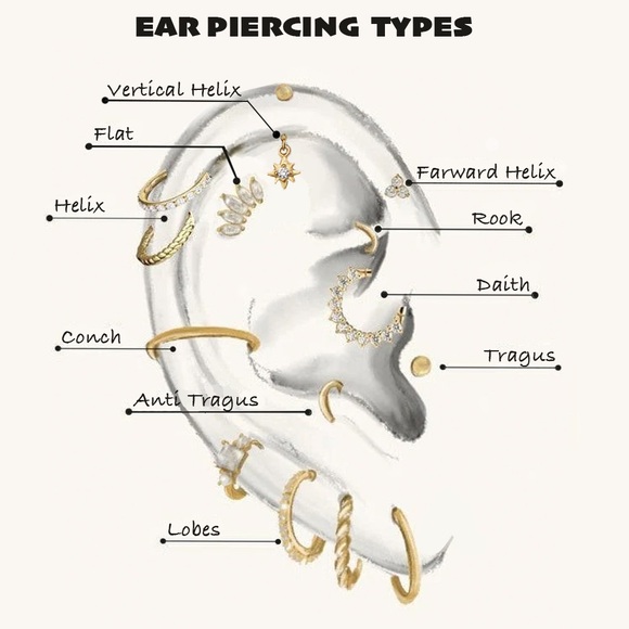 Elegant Gold S925 Flower cartridge Stud Earring - Picture 5 of 5